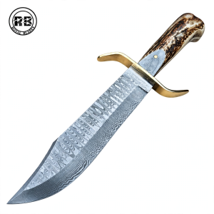 Stainless Damascus Bowie with Stag Horn From Royal Blades