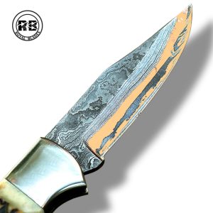 7.5-Inch Gemstone & Horn Hybrid Pocket Folder